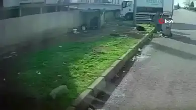 Bursa'da Başıboş Köpek Saldırısı: O Anlar Kamerada!