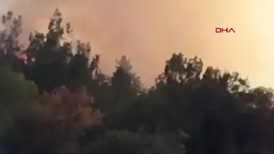Bursa'da Orman Yangını Tehlikesi