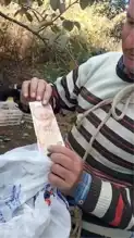 Hurma Bahçesindeki Dürüstlük Örneği