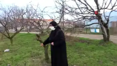 Yaşlı Kadının Arazisi İşgal Edildi: Mahkemelik Oldu!