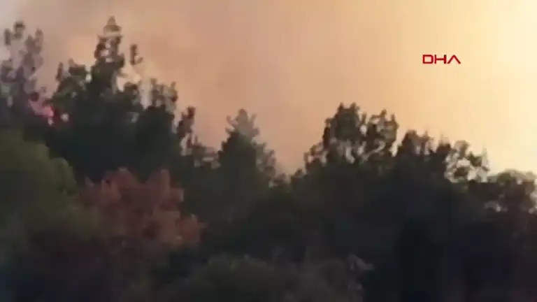 Bursa'da Orman Yangını Tehlikesi